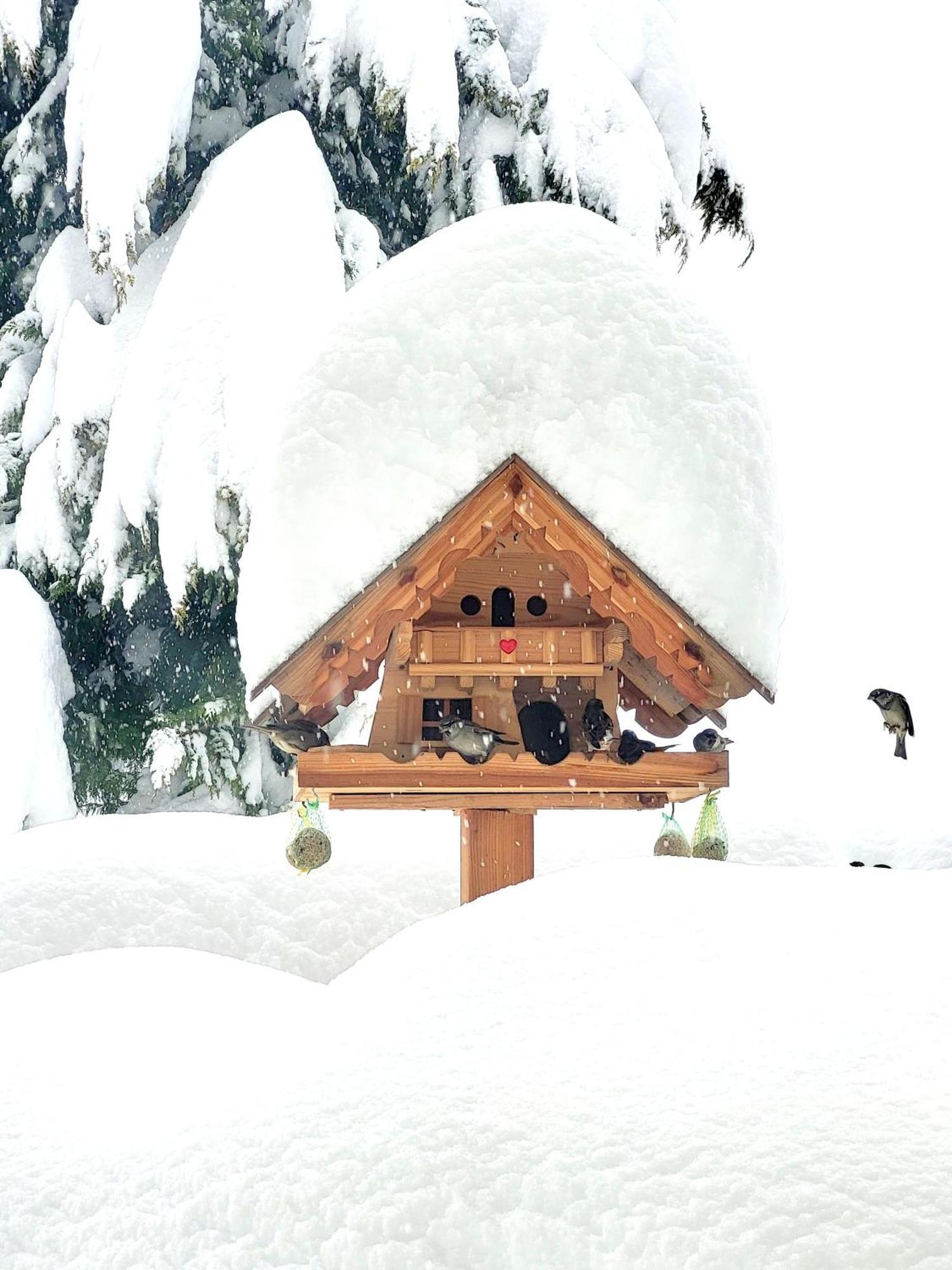Gästehaus Herma Ramsau am Dachstein Exterior foto
