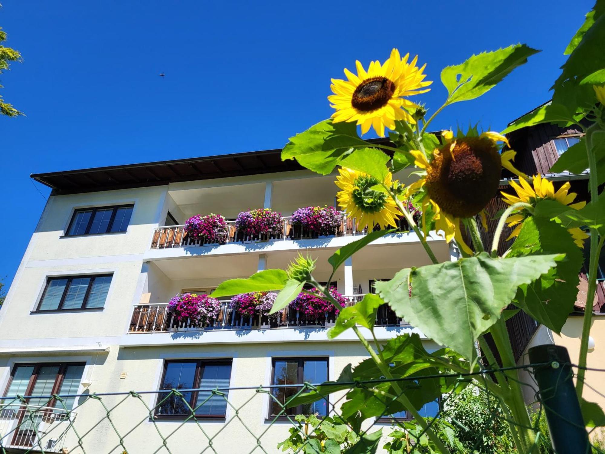 Gästehaus Herma Ramsau am Dachstein Exterior foto